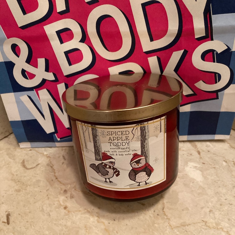 NWT 3 Wick Bath & Body Works Spiced Apple Toddy